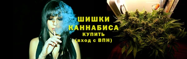 прущие грибы Янаул