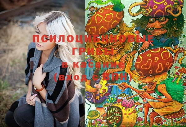прущие грибы Янаул