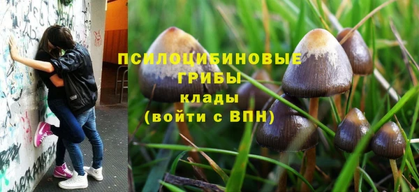 гидропоника Яровое