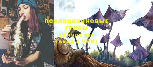 прущие грибы Янаул