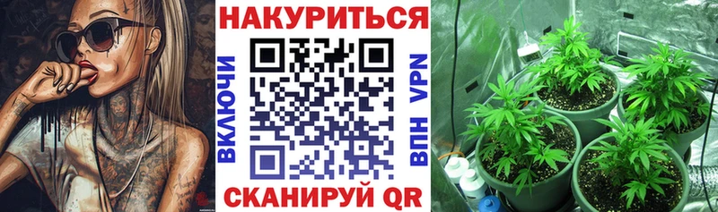 Купить где  Буй  Марихуана THC 21% 